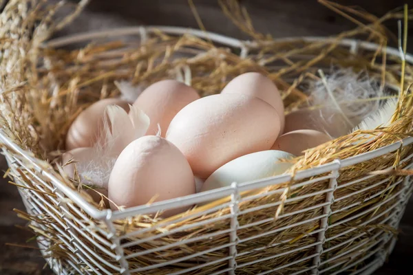 Closeup of free range eggs in the hen nest — Stock Photo, Image