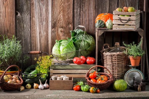 Jardim com hortaliças colhidas e frutas no outono — Fotografia de Stock
