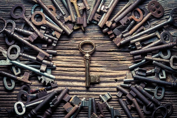 Många metall nycklar och en gyllene nyckel som begrepp — Stockfoto