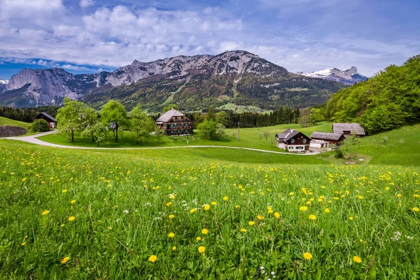 Bella valle verde nelle Alpi austriache in primavera, Europa — Foto Stock