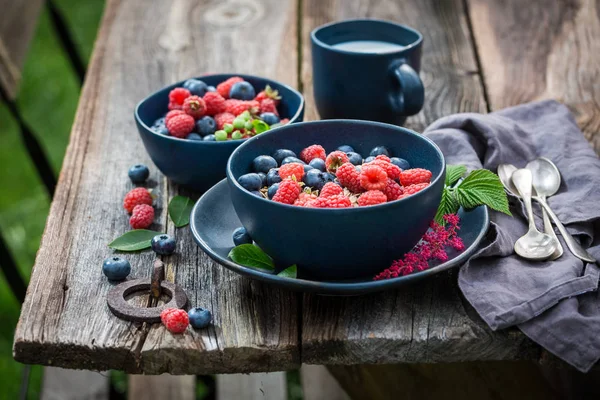 Гранола с молоком и свежими ягодами в голубой миске — стоковое фото