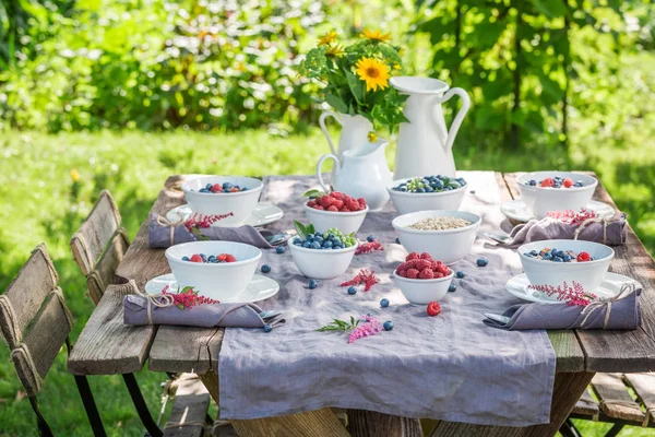 Granola with raspberries and blueberries in sunny garden — Stock Photo, Image
