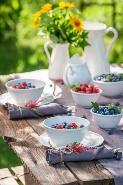 Healthy granola with raspberries and blueberries in sunny garden — Stock Photo, Image