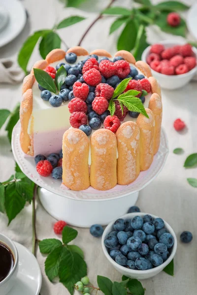 Primer plano de sabroso pastel de yogur con bayas y galletas — Foto de Stock