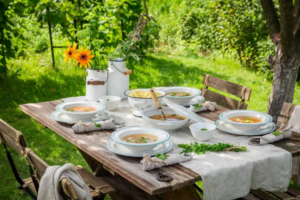 Sup ayam lezat disajikan di kebun pada hari yang cerah — Stok Foto