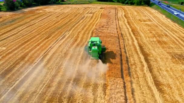 Luftaufnahme von Erntemaschinen, die im Sommer auf dem Feld arbeiten — Stockvideo