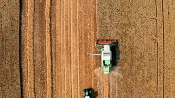 Vista superior de la cosechadora en el campo en verano — Vídeo de stock