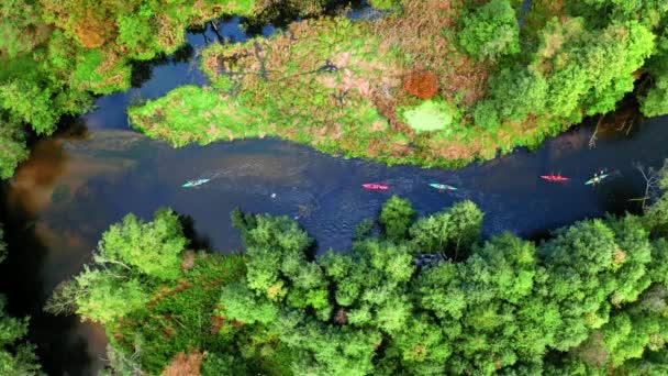 Vista superior de Caiaque pelo outono no rio pela floresta — Vídeo de Stock