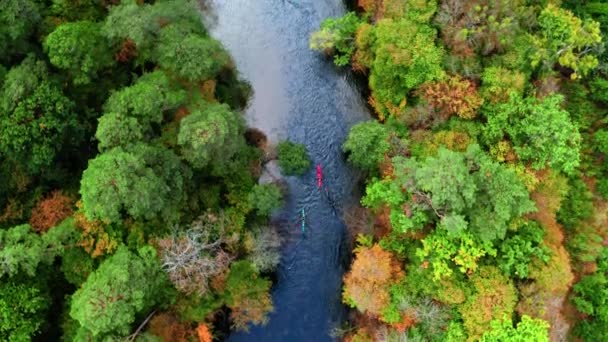 Top uitzicht op kajakken op de rivier door de herfst bos — Stockvideo