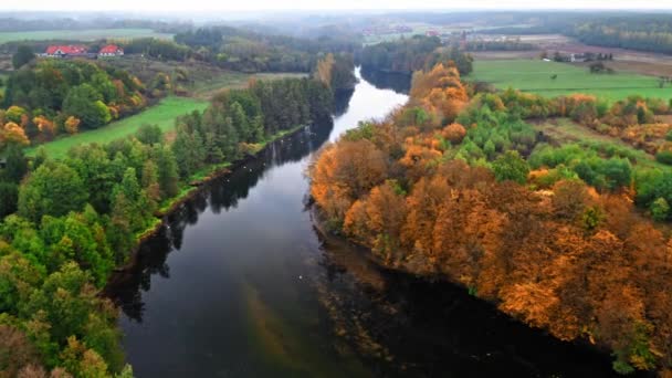 Letecký pohled na řeku na podzim v Polsku — Stock video