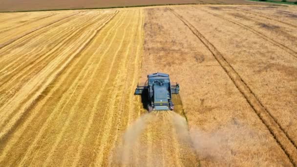 Vue aérienne de la moissonneuse-batteuse récoltant des semences en Pologne, Europe — Video