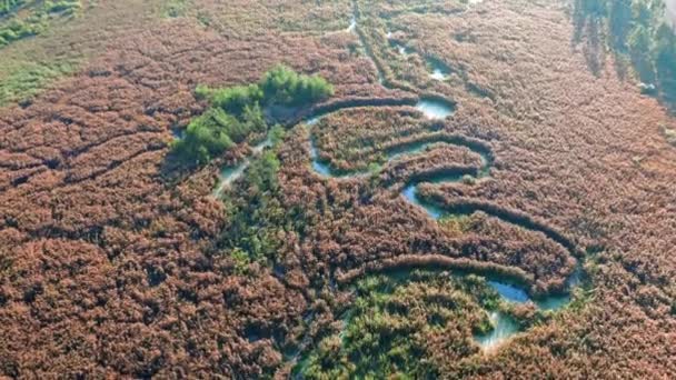 Rio nebuloso e pântanos no outono, vista aérea — Vídeo de Stock