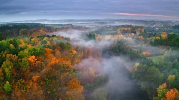 Rio nebuloso e floresta no outono ao nascer do sol, vista aérea — Vídeo de Stock