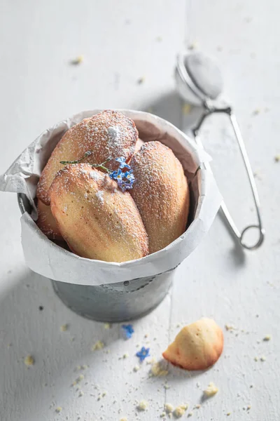 Вкусное печенье Мадлен в виде французской закуски — стоковое фото