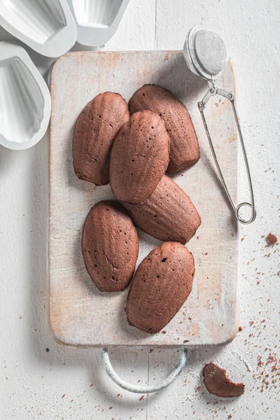 Delicious Madeleine chocolate cookies baked in shell shaped mold — Stock Photo, Image