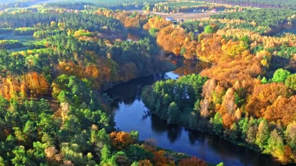 Восход солнца на реке и в лесу осенью, вид с воздуха — стоковое видео