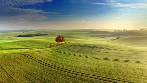 Turbina eólica, árbol rojo y campo verde, vista aérea al amanecer — Vídeo de stock