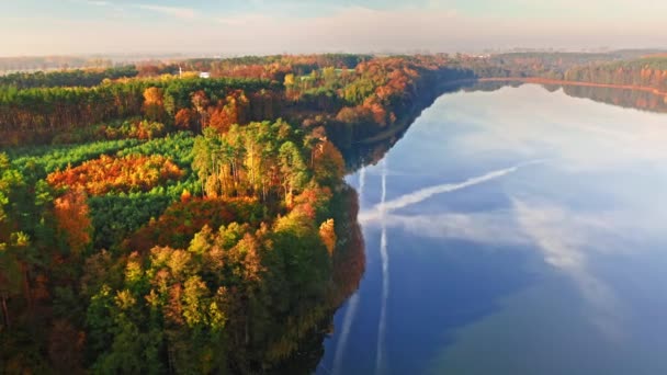 Bosque y lago cristalino con reflexión chemtrail, vista aérea — Vídeos de Stock