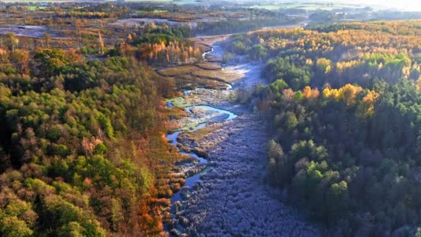 Vista aérea do pântano de outono coberto pela geada ao nascer do sol — Vídeo de Stock