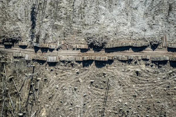 Voando acima da desflorestação, exploração madeireira, destruição ambiental, Europa — Fotografia de Stock