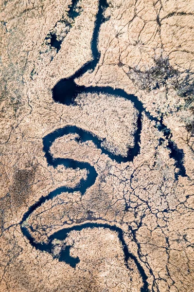 Vue du haut vers le bas des rivières sinueuses et des marécages bruns, Pologne — Photo