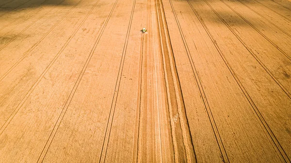 Small green combine harvesting field in summer, aerial view — Stock Photo, Image