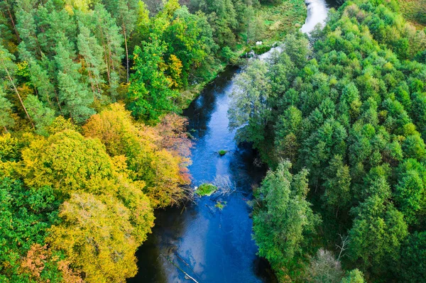 Вид с воздуха на потрясающий лес и реку осенью — стоковое фото