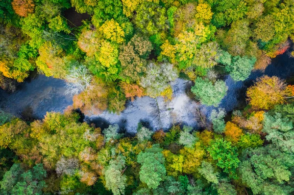 Volando sobre un maravilloso bosque y río en otoño —  Fotos de Stock