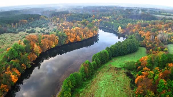 Rivière à l'automne en Pologne, vue aérienne — Video