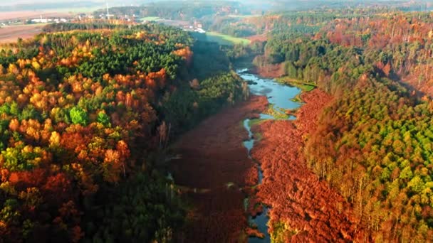 Коричневі болота і річка восени, вид зверху — стокове відео