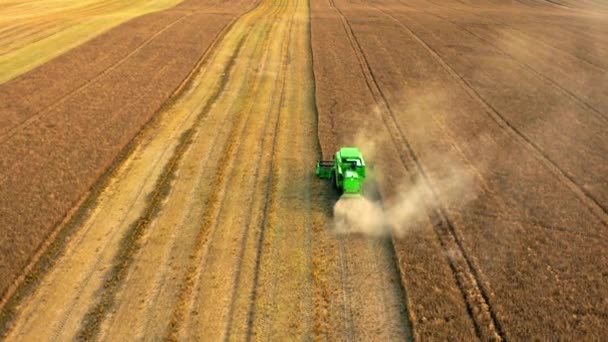 Volando por encima de la cosechadora verde trabajando en el campo, Polonia — Vídeo de stock