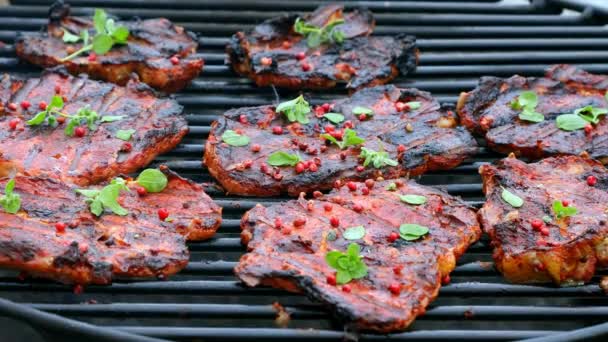 Red and spicy pork neck on a hot grill — 비디오