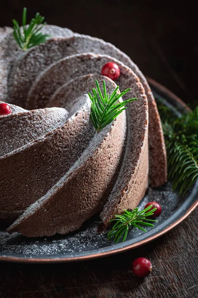 Söt chokladkaka med kakao och pulversocker — Stockfoto