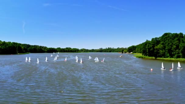 Veleros en el lago durante la competición, vista aérea — Vídeos de Stock