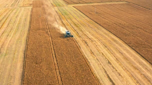 Volando por encima de una cosechadora trabajando en un gran campo en Polonia — Vídeo de stock