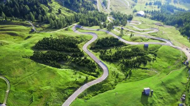 Aerial view of winding road at green Passo Gardena, Dolomites — 비디오