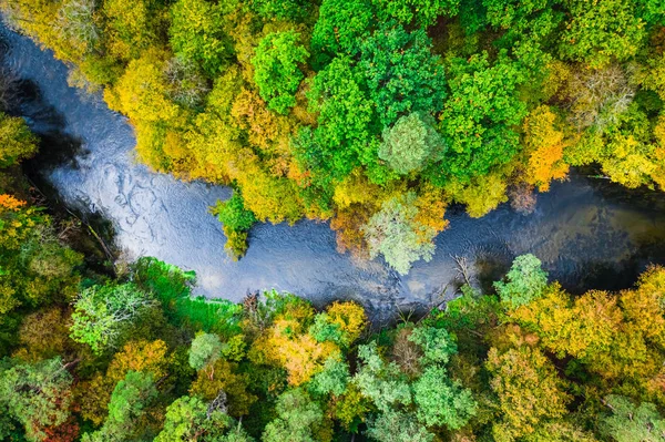 Vista de arriba hacia abajo del bosque y el río en otoño —  Fotos de Stock