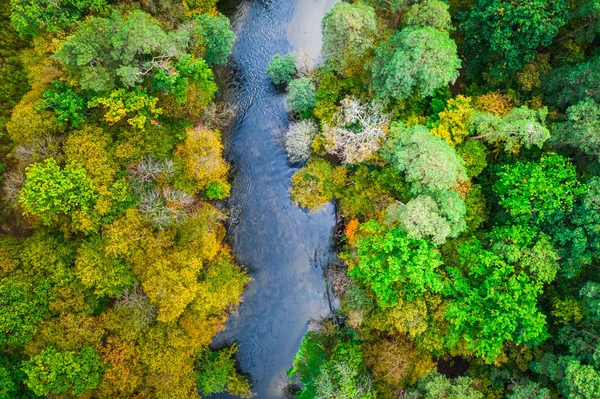 Maravilloso bosque y río en otoño, vista aérea —  Fotos de Stock