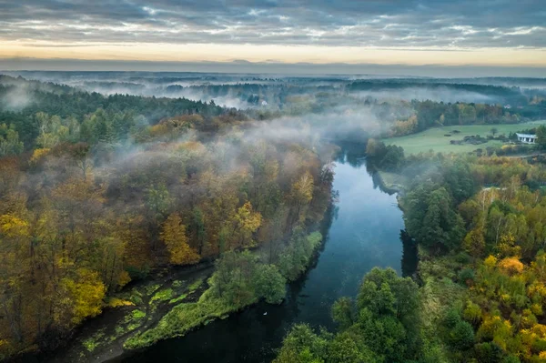 河流与秋天的森林景观，从上方看 — 图库照片