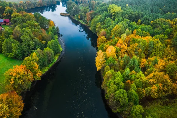 Luftaufnahme des Flusses und des gelben Herbstwaldes — Stockfoto