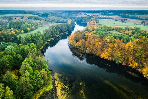 Las rzeczny i jesienny, widok z góry — Zdjęcie stockowe