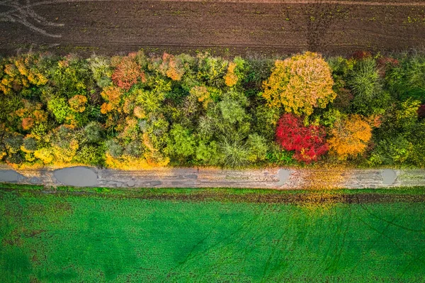 Vista de arriba hacia abajo de la carretera del país y árboles coloridos —  Fotos de Stock