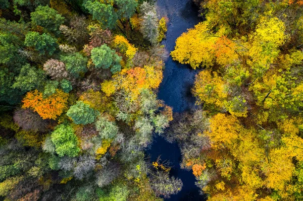 Felülről kilátás a kék folyóra és az őszi erdőkre — Stock Fotó