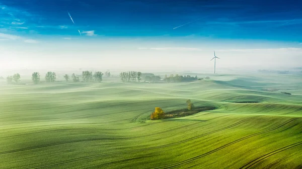 Ködös zöld mező és szélturbina napkeltekor — Stock Fotó