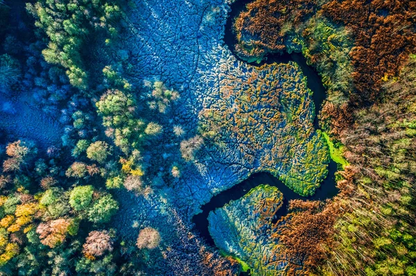 Veelkleurige moerassen in de herfst, uitzicht van bovenaf — Stockfoto