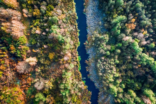 Widok z góry na rzekę i bagna jesienią — Zdjęcie stockowe