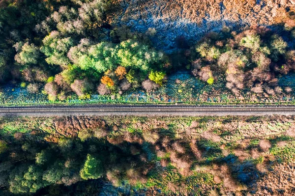 Vista aérea da ferrovia na floresta ao nascer do sol — Fotografia de Stock