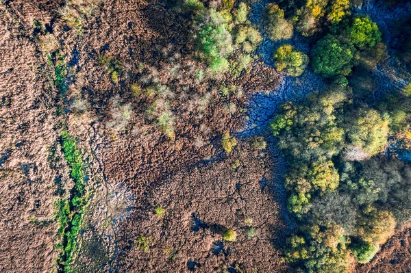 Top down view of autumn swamp at sunrise — Stock Photo, Image
