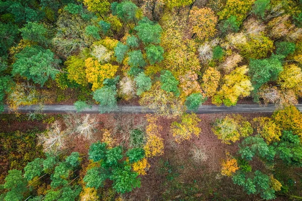 Camino de campo y bosque de otoño, vista desde arriba —  Fotos de Stock