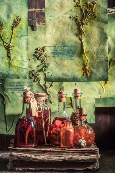 Old herbalist workshop with plant descriptions and dried cards — ストック写真